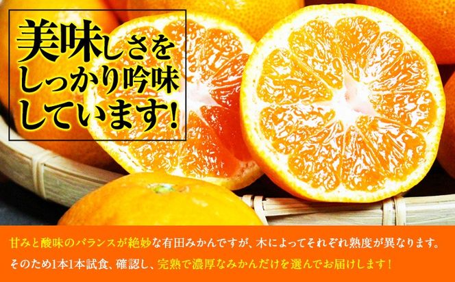 【先行予約】秀品 有田みかん 約2kg 株式会社魚鶴商店《2026年11月下旬-2027年1月下旬頃出荷》和歌山県 日高川町 有田みかん ミカン 蜜柑 フルーツ 柑橘---wshg_uot168_11g1g_25_8000_2kg---