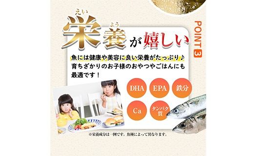 ＜ 訳あり ＞ 大分県産 ひもの屋さんの 白身魚 フライ (計1.2kg・10切×3袋) おかず おつまみ 惣菜 お弁当 揚げるだけ 小分け フライ 国産 大分県産 冷凍 魚【AQ99】【やまろ渡邉】