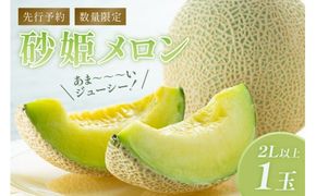 【先行予約／数量限定150】砂姫メロン1玉！大玉2L以上！女性に人気！（2026年6月下旬～発送）　JK00027