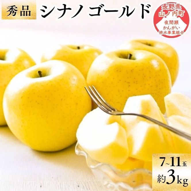 【2026年10月～発送】シナノゴールド 秀品 約3kg 7～11玉 りんご 果物 信州 長野