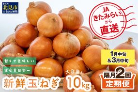 【隔月2回(1月・3月)定期便】JAきたみらいから直送する新鮮玉ねぎ 10kg Lサイズ以上 ( 野菜 定期便 玉葱 たまねぎ 期間限定 )【999-0007-2026】