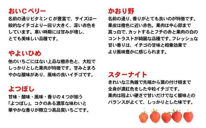 【 先行予約 2026年1月中旬以降発送 】 数量限定 農家直送 ♪ 八千代町産 いちご ボリュームパック （ 4パック ） 人気 の 詰め合わせ セット イチゴ 苺 季節限定 茨城県 フルーツ 果物 食べ比べ セット [AJ002ya]