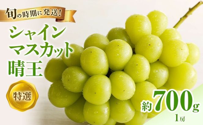【2026年先行受付】 シャインマスカット 晴王 秀品 大房 約2kg(2～5房) 岡山県産 ぶどう 葡萄 ブドウ ギフト 御礼 プレゼント 御礼 御祝 御供 果物 くだもの フルーツ