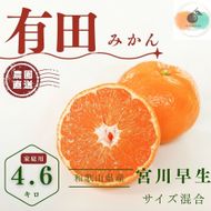 【ふるさと納税】【先行予約】有田みかん 早生 温州みかん 4.6kg（箱込み5kg） 家庭用 S～２Lサイズ 混合 柑橘 フルーツ みかん 産地直送 お取り寄せ 送料無料 温州ミカン 	FA07