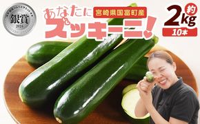 ＜野菜ソムリエサミット銀賞受賞！ あなたにズッキーニ約2kg（10本）＞翌月末迄に順次出荷【 野菜 青果 国産 生食 輪切り ソテー サラダ 天ぷら ラタトゥイユ 】【b0915_hf】