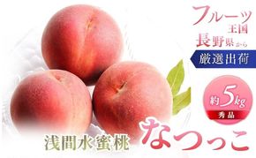 桃 先行予約 浅間水蜜桃 なつっこ 約5kg 秀品 フルーツ 果物 白桃 甘い 冷蔵