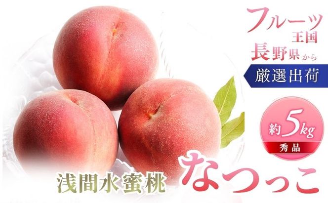 桃 先行予約 浅間水蜜桃 なつっこ 約5kg 秀品 13～22玉 フルーツ 果物 白桃 甘い 冷蔵