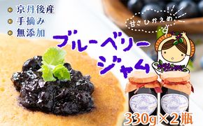 たっぷりサイズブルーベリージャム（甘さ控えめ）330g×2　ブルーベリー ジャム 無添加 手作り 加工食品 2本 ぶるーべりー じゃむ フルーツ 果物 アントシアニン 完熟 国産 朝食 朝ごはん トーストヨーグルト 生産者応援 農家応援 FG00008