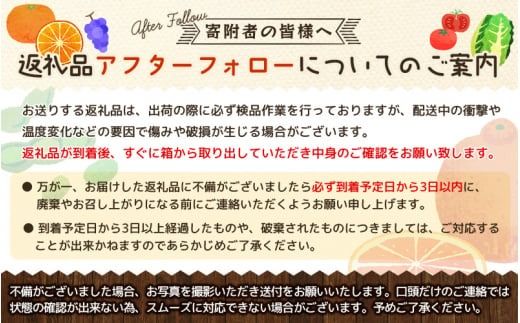 【先行予約】ご家庭用 はるみ 和歌山 有田 S～3Lサイズ 大きさお任せ 3kg【2025年1月下旬～3月下旬までに順次発送予定】/ みかん フルーツ 果物 くだもの 蜜柑 柑橘【ktn048】