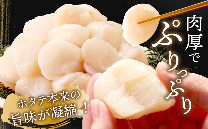 【予約：2026年6月から順次発送】北海道オホーツク海産 ホタテ貝柱 1.2kg 生食用 ( 海鮮 魚介 魚介類 貝 ほたて 刺身 貝柱 海鮮丼 贈答 ギフト 小分け 帆立貝柱 人気 ふるさと納税 ホタテ )【037-0021】