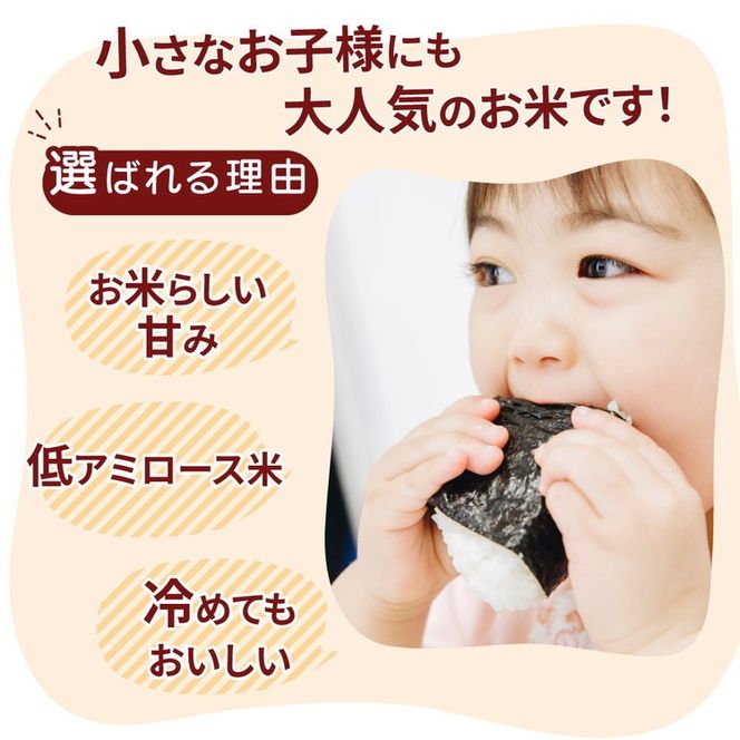 令和7年産 茨城県産　ミルキークイーン　精米 16kg (2kg×8袋) ｜ミルキークイーンは粘りが強くかつ柔らかいお米。 ※離島への配送不可　※2025年10月下旬～2026年7月下旬頃に順次発送予定