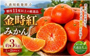金時紅みかん  約3kg フルーツ みかん 果物 香川県 土庄町