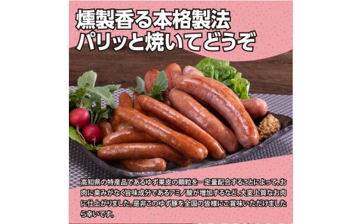 【CF-R7hbk】NIN012　なはりゆず豚ソーセージセット10P - ソーセージ5本入り×5パック フランクフルト3本入り×5パック 豚肉 国産 詰め合わせ 冷凍 料理 バーベキュー BBQ 個包装 29000円 高知県産