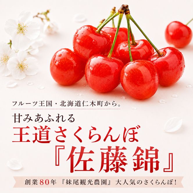 2027年発送 北海道 仁木町産 さくらんぼ 「佐藤錦」 バラ詰め M-L混合 500g (250g×2パック) 国産 旬のフルーツ 旬の果物 デザートサクランボ チェリー フルーツ 果物 果物類 仁木 [フルーツショップ妹尾観光農園] 