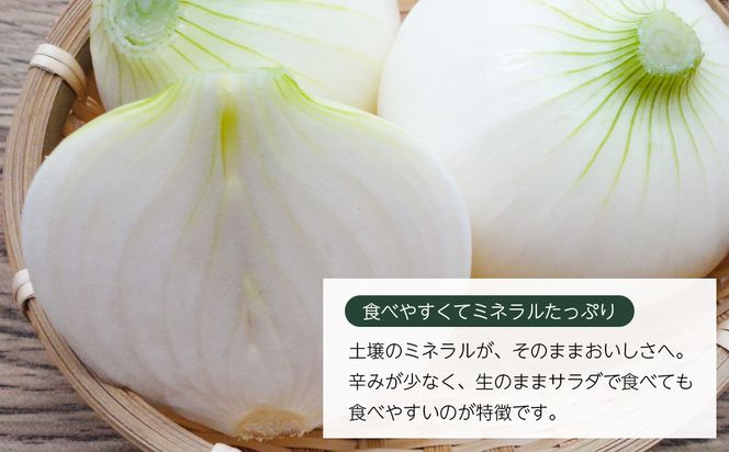 【新玉ねぎ】いざなぎ農園の淡路島たまねぎ 5kg【発送時期2026年5月頃】 玉ねぎ