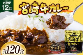 カレー 12回 定期便 レトルト 宮崎牛カレー 160g 10袋 総計120袋 [九州産商 宮崎県 日向市 452061840] 小分け ビーフカレー 宮崎 牛 常備食 保存食 中辛 宮崎牛 備蓄