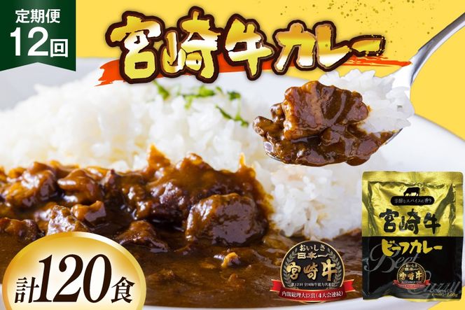 カレー 12回 定期便 レトルト 宮崎牛カレー 160g 10袋 総計120袋 [九州産商 宮崎県 日向市 452061840] 小分け ビーフカレー 宮崎 牛 常備食 保存食 中辛 宮崎牛 備蓄