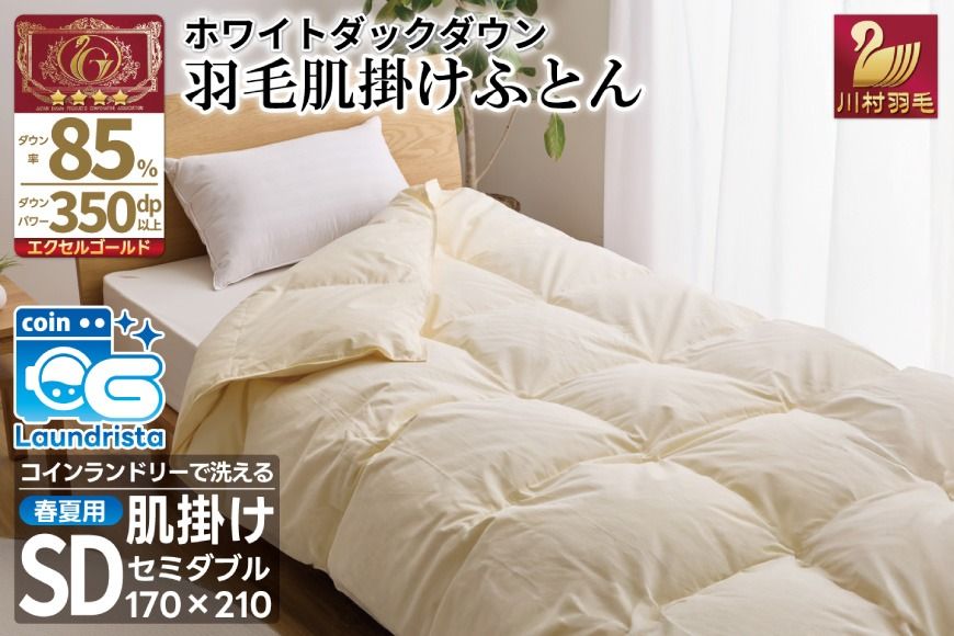 [春夏用]洗える! 羽毛 肌掛け布団 セミダブル ホワイトダックダウン 85% 0.5kg (無地 アイボリー) [川村羽毛 山梨県 韮崎市 20743632] 布羽毛布団 布団 ふとん 羽毛 肌掛け 掛け布団 寝具 夏用 日本製 国産 抗菌防臭 無地 コインランドリー