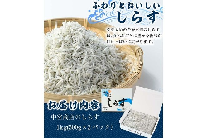 豊後水道 米水津産 しらす (計1kg・500g×2P) 魚 小魚 魚介類 シラス おつまみ カルシウム 大分県 佐伯市 【FA01】【(有)中宮商店】
