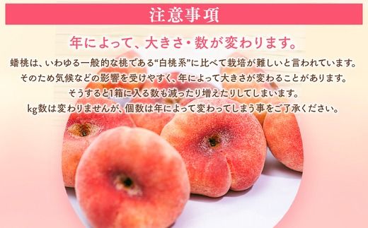 ◆2025年夏発送◆＜ 蟠桃・約2kg ＞  ※離島への配送不可 ※2025年7月下旬～8月中旬頃に順次発送予定