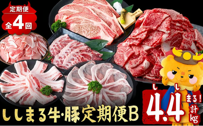 【定期便全4回】ししまる牛・豚定期便B(4ヶ月連続・計4.4kg) t0051-002