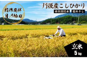 2025年産 京丹後産稲作発祥の地コシヒカリ特別栽培米 月の輪田米 玄米5kg（天日干し）　WK00001