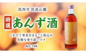 【 特選 】 あんず酒 アルコール 15％ （ 500ml × 1本 ） 果実酒 お酒 酒 あんず [DP004ci]