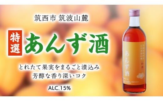 【 特選 】 あんず酒 アルコール 15％ （ 500ml × 1本 ） 果実酒 お酒 酒 あんず [DP004ci]