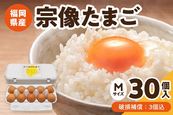 JAむなかたよりお届け！宗像たまご30個（27個＋補償3個）【JAほたるの里】_HA0915