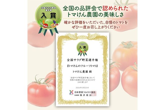 ＼全国サラダ野菜選手権 入賞 ／訳あり トマけんのフルーツトマト(計3kg) フルーツトマト 高糖度 トマト サラダ 野菜 旬野菜 冷蔵 門川町産 宮崎県 門川町 【TK-03】【トマけん農園】