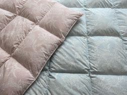 ワタセの羽毛ふとん　シングル　赤【CW15W】