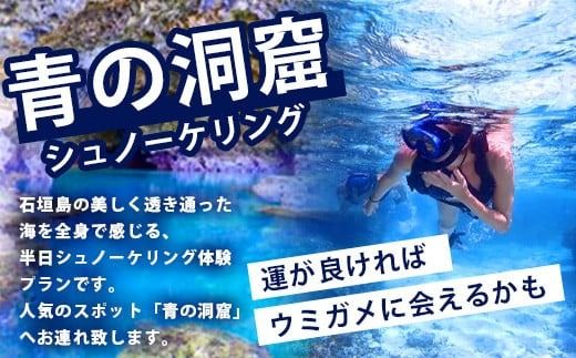 石垣島の自然を満喫！石垣島半日アクティビティ (利用券 1名様分) NS-1