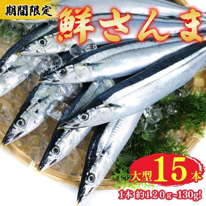 【期間限定】鮮さんま 大型 15本（1本約120g～130g) 冷蔵