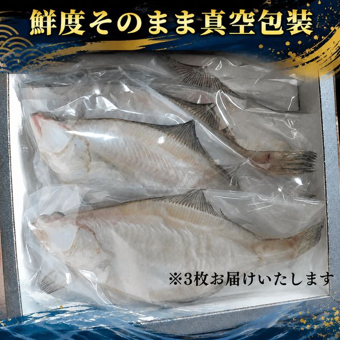 【ふるさと納税】特大エテカレイ 一夜干し 3枚 魚貝類 魚 地魚 一夜干し エテカレイ カレイ 大きめ 干物 ひもの セット 冷凍 個包装