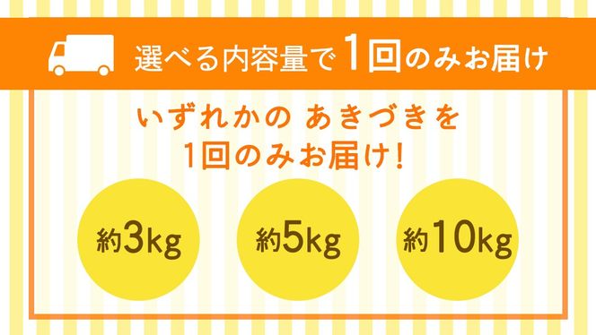 ＼ 選べる内容量 ／ あきづき 梨 約3kg / 約5kg / 約10kg 【2026年10月より発送開始】（茨城県共通返礼品 [梨]：大子町産） なし 旬 お取り寄せ フルーツ 甘い ジューシー 和梨 時期 秋月
