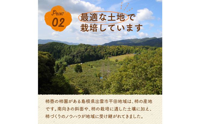 【全4回定期便】【柿専業の農家が作る】出雲の柿3種と旬をたのしむごほうび【2026年10月以降発送】 322032_BK009