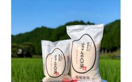 543. 農家直送「山ちゃんのお米」コシヒカリ20kg