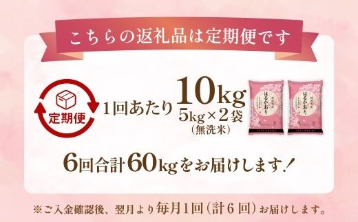 【 1ヶ月毎6回定期便 】 【 無洗米 】 はるかおり 10kg （ 5kg × 2袋 ） 計60kg お米 米 こめ コメ 白米 白飯 飯 ご飯 おにぎり 和食 国産 福岡県産 定期 定期配送