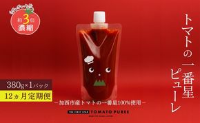 定期便 12ヶ月 トマトピューレ 380g×1本 トマトの一番星ピューレ トマトの一番星ピューレ トマト ピューレ とまと 五つ星ひょうご 無添加 スパゲッティ スパゲティ パスタ ぱすた リゾット スープ イタリアン 兵庫県 加西市