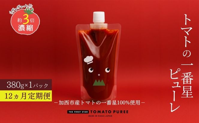 定期便 12ヶ月 トマトピューレ 380g×1本 トマトの一番星ピューレ トマトの一番星ピューレ トマト ピューレ とまと 五つ星ひょうご 無添加 スパゲッティ スパゲティ パスタ ぱすた リゾット スープ イタリアン 兵庫県 加西市