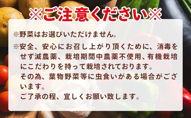 こだわりの新鮮野菜 4回定期 Waf-0004