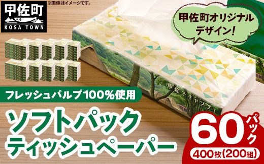 ティッシュペーパーソフトパック 400枚(200組)60パック - ソフトパック ティッシュ ペーパー 生活用品 雑貨 日用品 必需品 紙 常備品 まとめ買い 備蓄 防災 ストック 熊本県 甲佐町