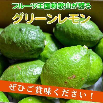 EA6044n_【2026年先行予約】綺麗な湧き水で育てた グリーンレモン 5kg (大小混合)