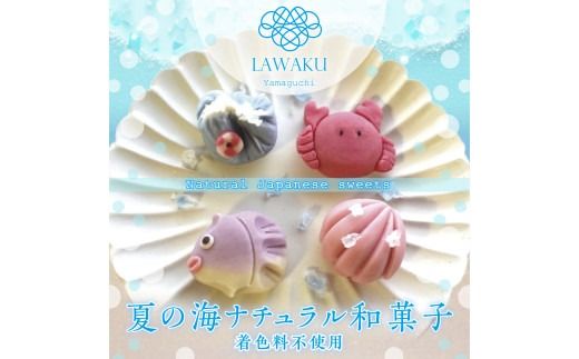 D075 ナチュラル和菓子体験キット（こしあん＆チョコあん）