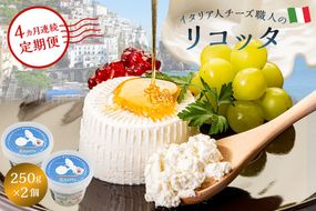 【定期便】リコッタ Ricotta 250g 2個セット(4カ月連続お届け) 【0073-049】