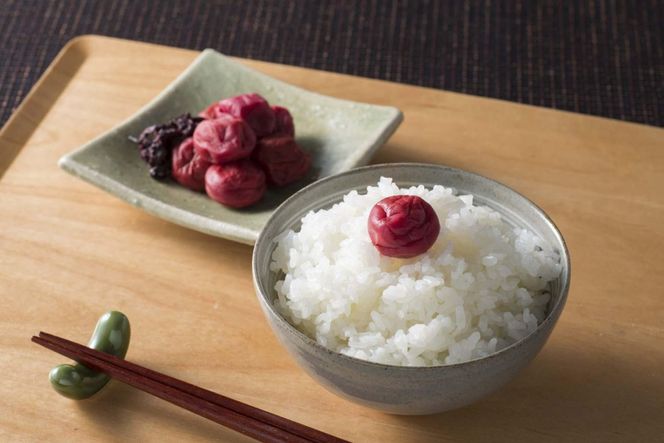 ［梅干・梅酒用］大玉4Lサイズ約2kg 熟南高 生梅 ＜2027年6月上旬～7月中旬発送予定＞［ART21］ 303446_XL26
