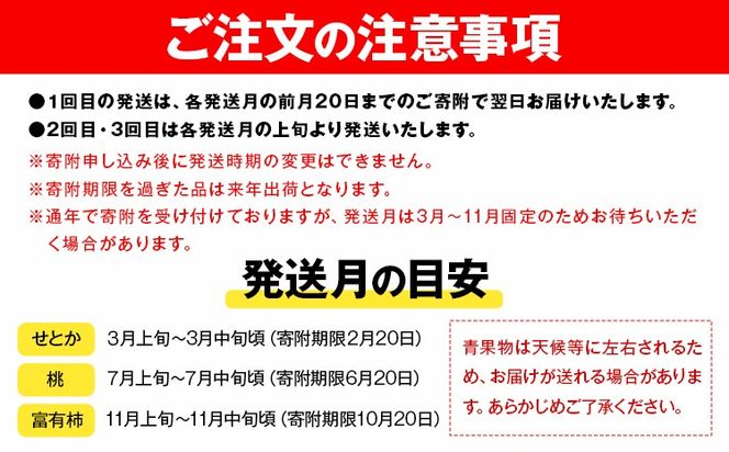 【定期】紀州和歌山産 旬のフルーツセット(せとか 桃 富有柿) 約6.5kg 株式会社魚鶴商店《3月上旬-12月上旬頃出荷》和歌山県 日高川町 柿 富有柿 せとか 桃 もも フルーツ---wshg_uot108tei_26_49000_3711y3---