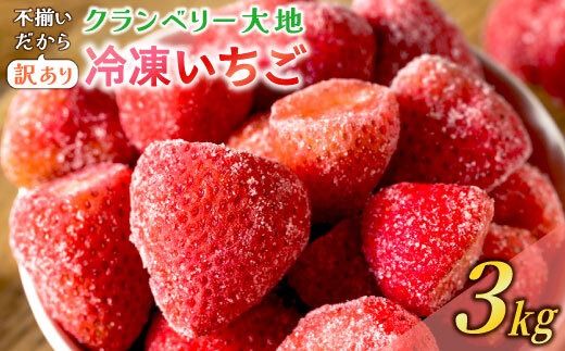 【訳あり】冷凍いちご　3kg (1kg×3袋)