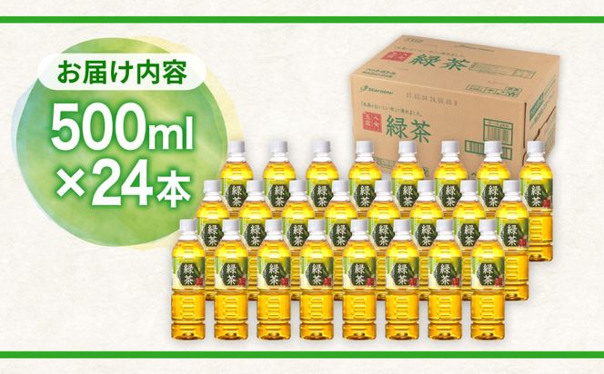 八女 玉露入り 緑茶 500ml × 24本 糸島市 / スターナイン お茶 ペットボトル [ARM004] お茶 ペットボトル 500ml 24本 緑茶 国産 まとめ買い 八女茶 常温