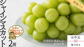 【 お中元 熨斗 付 】【 桐箱入り 】 シャインマスカット2房   【2026年8月より発送開始】（茨城県共通返礼品 [ぶどう]：結城市産）  シャインマスカット ぶどう 果物 フルーツ 季節 旬 [BI406-NT] 